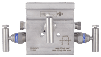 PGI Int'l Three-Valve Manifold
